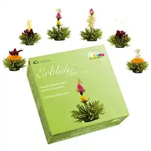 Teeblumen Creano Mix Erblühtee Fruity Flavor zum Probieren