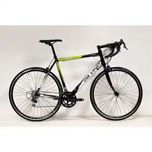 Rennrad Da Vinci 20 G mit Campagnolo Xenon RH 55