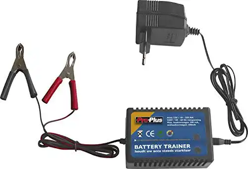 Batteriepulser ProPlus Batterie Trainer 12 V