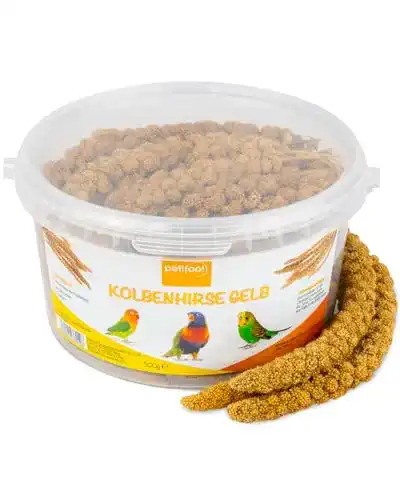 Kolbenhirse petifool gelb 500g Einzelfuttermittel für alle Ziervögel