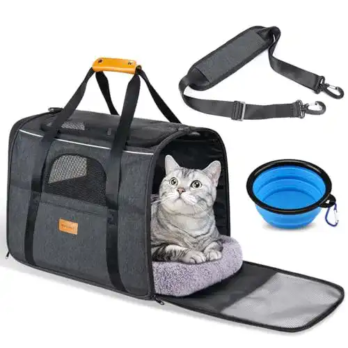 Die beste Faltbare Hundebox morpilot Faltbare Hundetragetasche 2026 Test Bestseller Faltbare Hundebox morpilot Faltbare Hundetragetasche