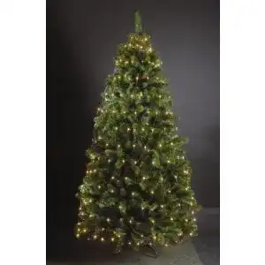 LED-Weihnachtsbeleuchtung Coen Bakker 320 LED Trapez Kegel