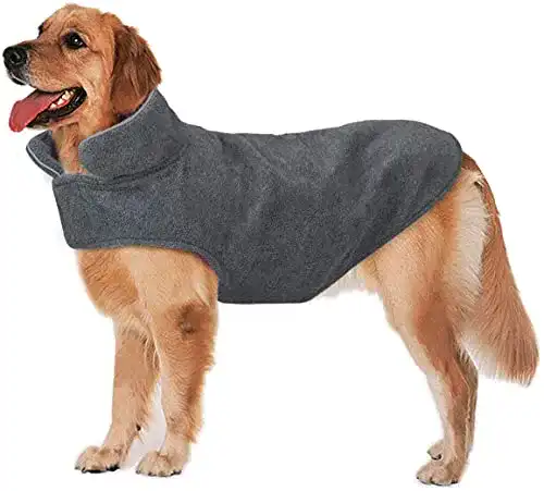 Wintermantel Hund Bwiv, winddicht, Fleece, reflektierend