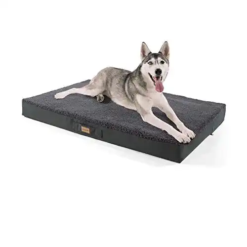 Orthopädisches Hundebett brunolie Balu Hundebett in Grau