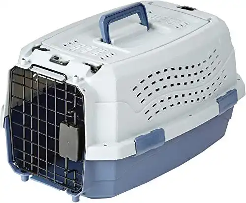 Hundebox Kunststoff Amazon Basics Transportbox, 2 Türen