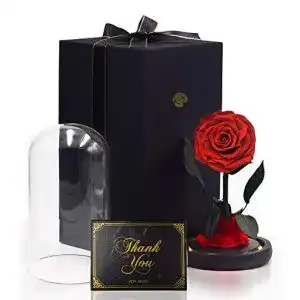 Ewige Rose iteaauk, Echte Rosen, Infinity Rose, LED-Licht