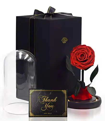 Ewige Rose iteaauk, Echte Rosen, Infinity Rose, LED-Licht