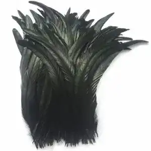 Schwarze Federn Sowder Schwanzfedern vom Hahn 27-35cm