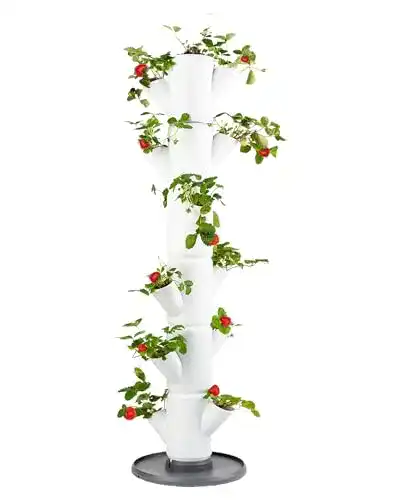 Pflanzturm GUSTA GARDEN Sissi Strawberry (Classic, weiß)