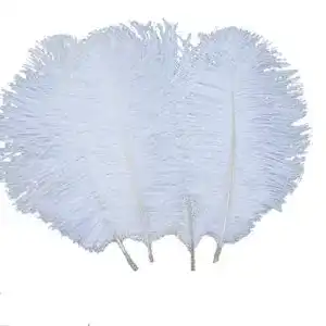 Straußenfeder Sowder 20pcs Natural 10-12inch (25-30cm) Feder