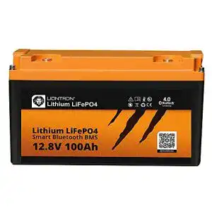 LIONTRON LIONTRON LiFePO4 12,8V 100Ah, ~1,28 kWh