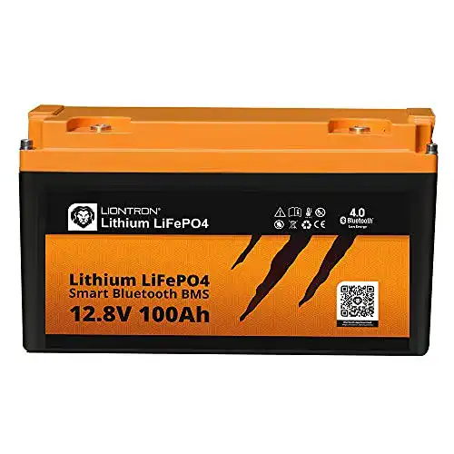 LIONTRON LIONTRON LiFePO4 12,8V 100Ah, ~1,28 kWh