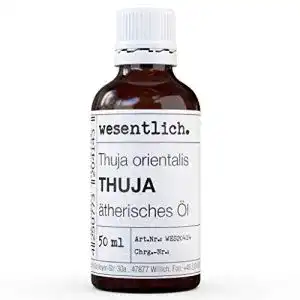 Thuja-Urtinktur wesentlich. Thuja Öl, reines ätherisches Öl, 50 ml