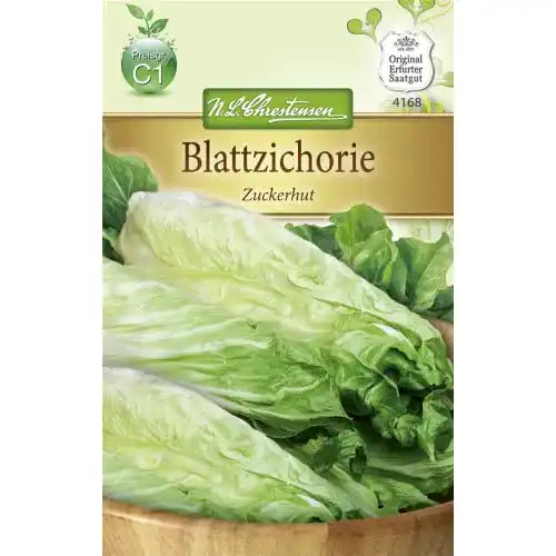 Zuckerhut-Samen Chrestensen Blattzichorie ‘Zuckerhut’