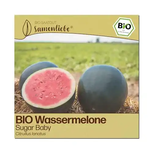 Wassermelonen-Samen Samenliebe BIO Sugar Baby, 10 Samen