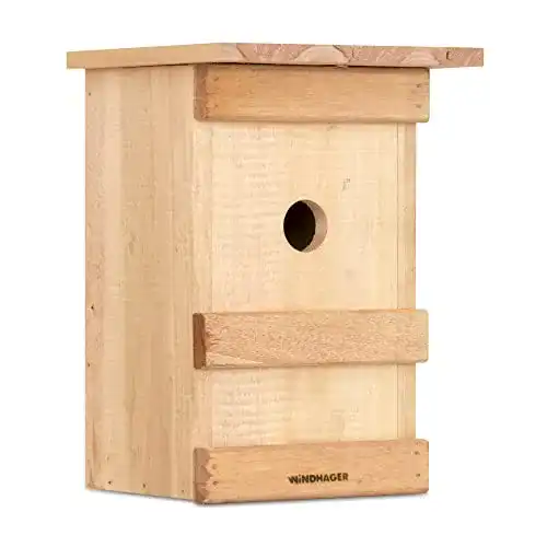 Nistkasten Rotkehlchen Windhager Nistkasten Birdy, Vogelhaus