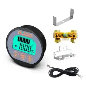 Batteriemonitor AILI Voltmeter Ammeter 100 m – 80 V