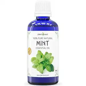 Japanisches Heilpflanzenöl HEBESO Ätherisches Minzöl 50ml