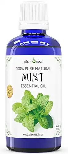 Japanisches Heilpflanzenöl HEBESO Ätherisches Minzöl 50ml