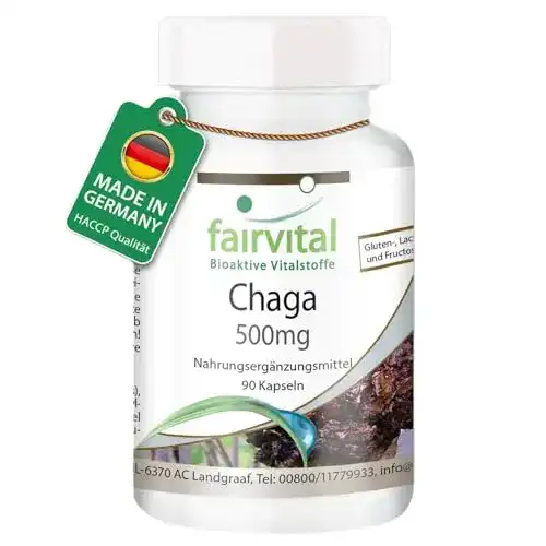 Chaga fairvital Kapseln, 500mg Pilzpulver pro Kapsel
