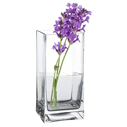 Glasvase Casa Vivente Eckige Blumenvase aus Klarglas