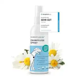 Zahnpflege Hund Hundepflege24 Dentalspray 150ml