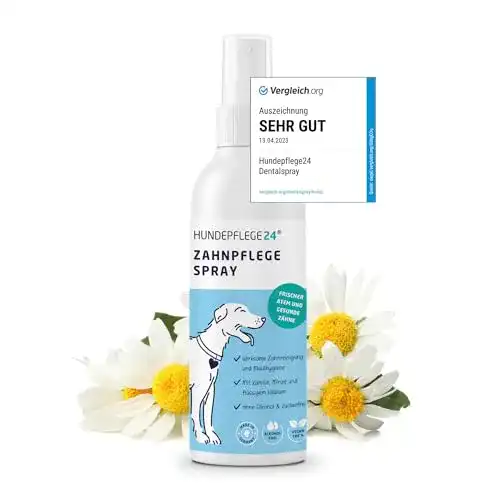 Zahnpflege Hund Hundepflege24 Dentalspray 150ml