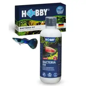 Aquarium-Bakterien Hobby 51142 Bacteria Fit 500 ml