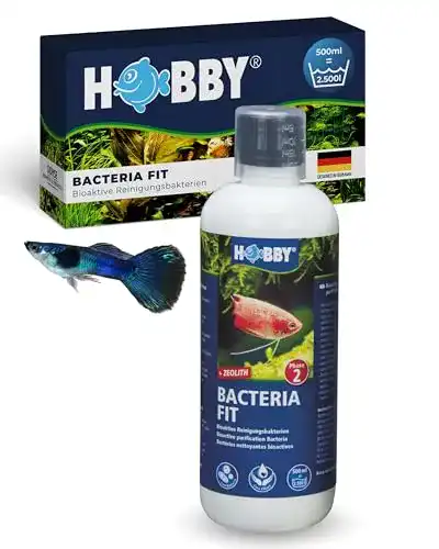 Die beste Aquarium-Bakterien Hobby 51142 Bacteria Fit 500 ml 2026 Test Bestseller Aquarium-Bakterien Hobby 51142 Bacteria Fit 500 ml