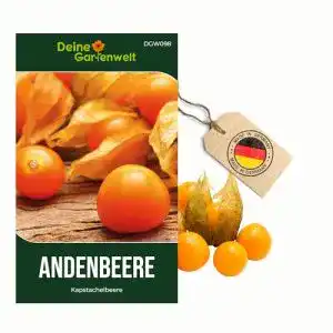 Physalis-Samen Deine Gartenwelt Physalis, für 50 Pflanzen