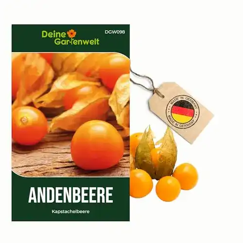 Physalis-Samen Deine Gartenwelt Physalis, für 50 Pflanzen