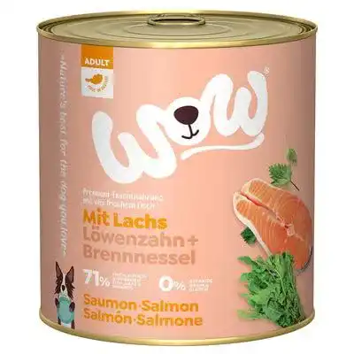 Wow-Hundefutter Wow, nass Adult mit Lachs, 6X 800g