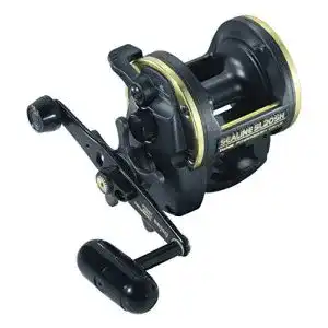 Daiwa-Multirolle Daiwa SL30SH SEALINE SLOSH MULTIROLLE