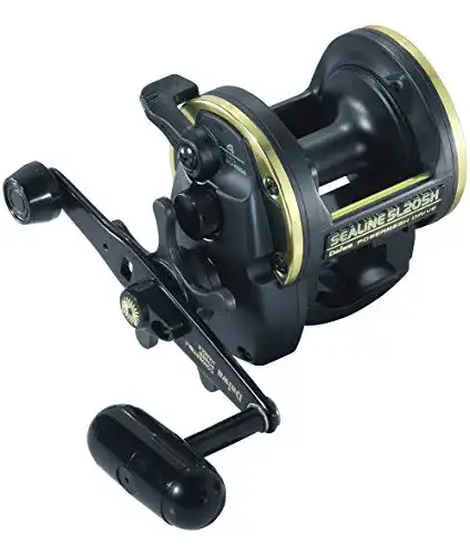 Die beste Daiwa-Multirolle Daiwa SL30SH SEALINE SLOSH MULTIROLLE 2026 Test Bestseller Daiwa-Multirolle Daiwa SL30SH SEALINE SLOSH MULTIROLLE