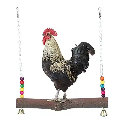 Hühnerschaukel Pssopp Chicken Swing Chicken Hanging Swings