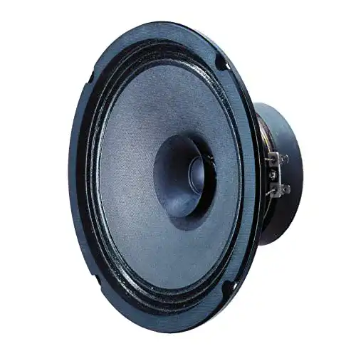 Auto-Lautsprecher (20cm) BG 20 Breitbandlautsprecher