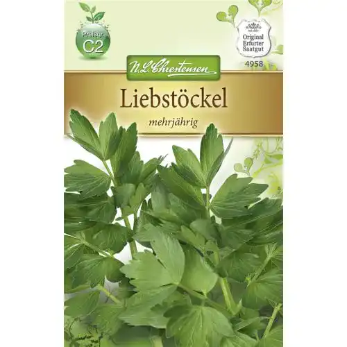 Liebstöckel-Samen Chrestensen Liebstöckel ‘mehrjährig’