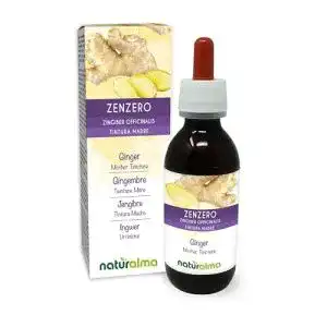 Ingwertropfen Naturalma Ingwer (Zingiber officinalis) Rhizome