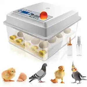 Brutmaschine Kacsoo Eierbrutschrank, Vollautomatisch, 16 Eier