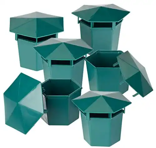 Schneckenfalle Exbuster Schneckenschutz: 6er-Set Premium Bio