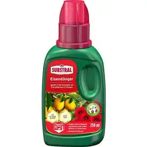 Eisendünger Substral , 250 ml Flasche