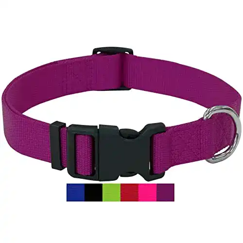 Hundehalsband Welpen DEY Premium Hundehalsband Nylon