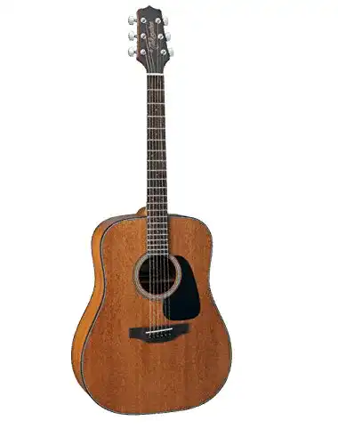 Takamine-Gitarre Faunow TAKAMINE Dreadnought