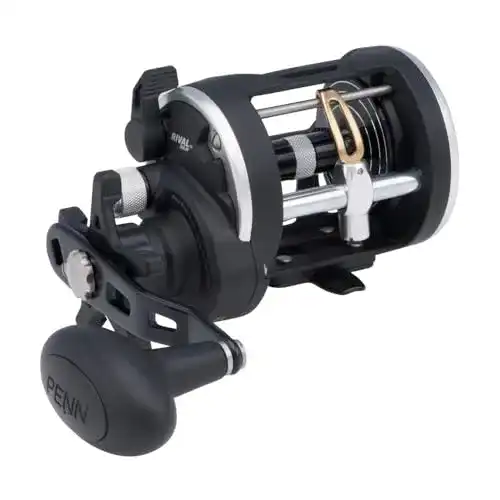 Die beste Penn-Rollen Penn Rival Level Wind Multirolle für Boote und Kajaks 2026 Test Bestseller Penn-Rollen Penn Rival Level Wind Multirolle für Boote und Kajaks