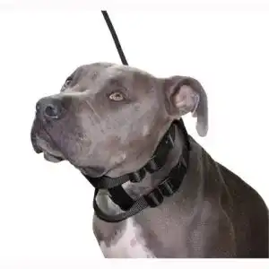 Erziehungshalsband Cesar Millan Original Illusion Collar, Größe S