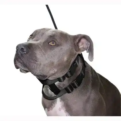 Erziehungshalsband Cesar Millan Original Illusion Collar, Größe S