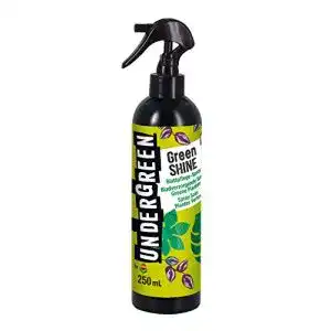 Blattglanzspray UNDERGREEN by Compo Green Shine, 250 ml