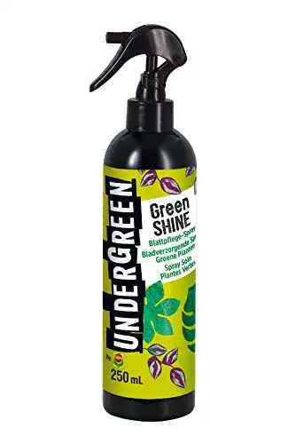 Blattglanzspray UNDERGREEN by Compo Green Shine, 250 ml