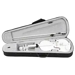 Geige Fransande Violine Student Violine 4/4 Full Size Violine Set