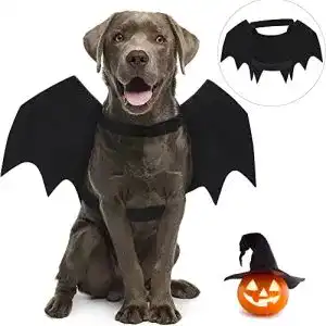 Hundekostüm CEASELESLY Haustier Fledermausflügel, Halloween